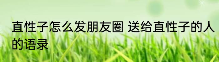直性子怎么发朋友圈 送给直性子的人的语录