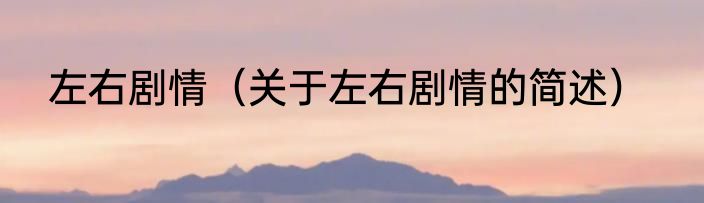 左右剧情（关于左右剧情的简述）