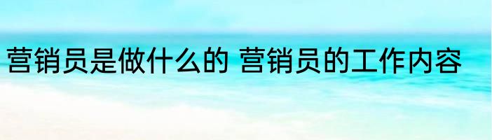 营销员是做什么的 营销员的工作内容