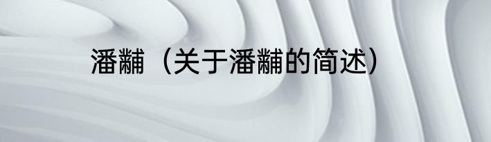 潘黼（关于潘黼的简述）