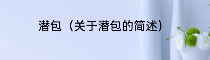 潜包（关于潜包的简述）