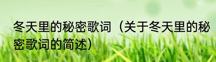 冬天里的秘密歌词（关于冬天里的秘密歌词的简述）