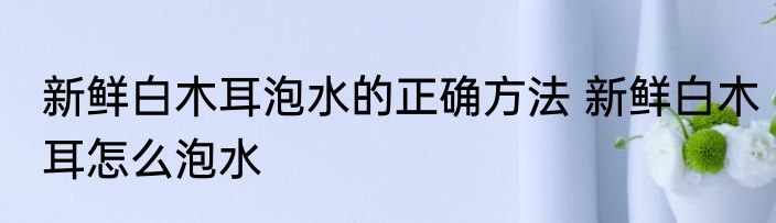 新鲜白木耳泡水的正确方法 新鲜白木耳怎么泡水