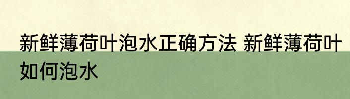 新鲜薄荷叶泡水正确方法 新鲜薄荷叶如何泡水