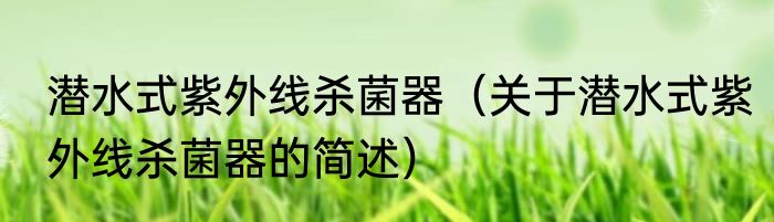 潜水式紫外线杀菌器（关于潜水式紫外线杀菌器的简述）