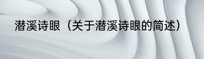 潜溪诗眼（关于潜溪诗眼的简述）
