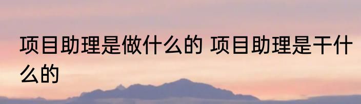 项目助理是做什么的 项目助理是干什么的