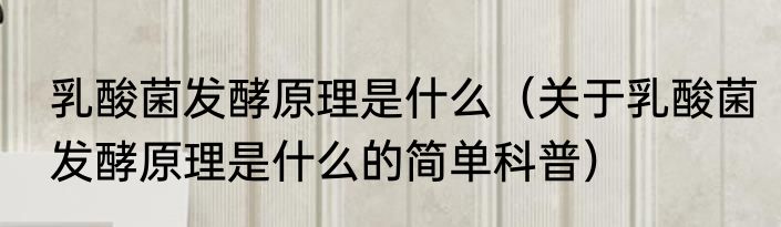 乳酸菌发酵原理是什么（关于乳酸菌发酵原理是什么的简单科普）