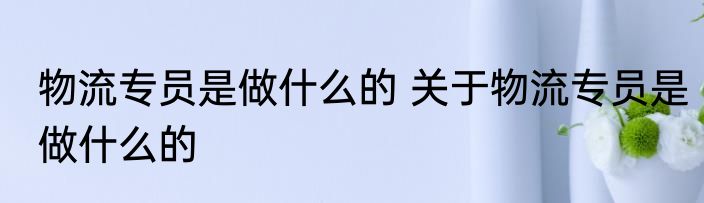 物流专员是做什么的 关于物流专员是做什么的