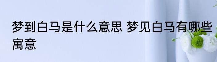 梦到白马是什么意思 梦见白马有哪些寓意