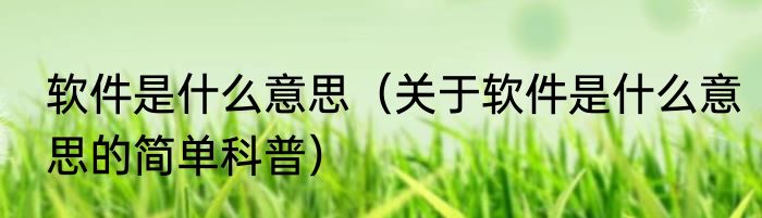 软件是什么意思（关于软件是什么意思的简单科普）