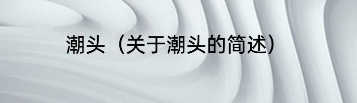潮头（关于潮头的简述）