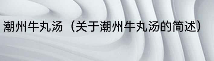 潮州牛丸汤（关于潮州牛丸汤的简述）