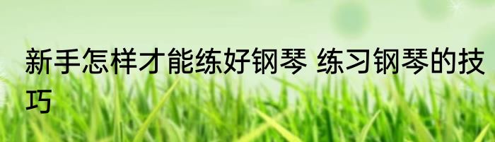 新手怎样才能练好钢琴 练习钢琴的技巧