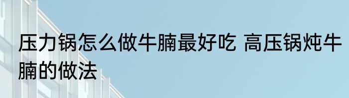 压力锅怎么做牛腩最好吃 高压锅炖牛腩的做法