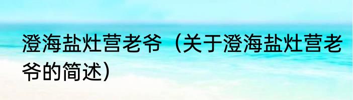 澄海盐灶营老爷（关于澄海盐灶营老爷的简述）