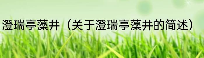 澄瑞亭藻井（关于澄瑞亭藻井的简述）