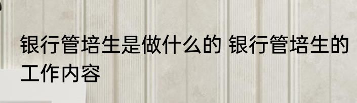 银行管培生是做什么的 银行管培生的工作内容