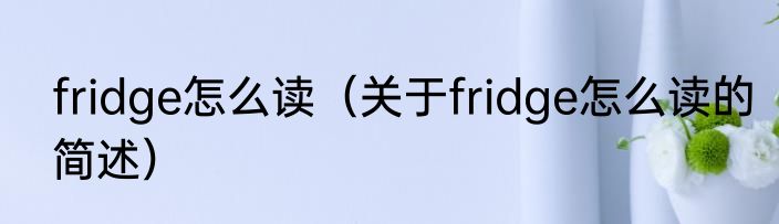fridge怎么读（关于fridge怎么读的简述）