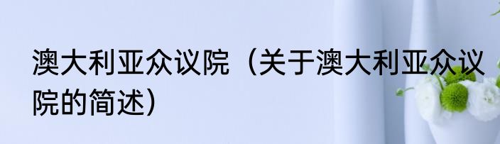 澳大利亚众议院（关于澳大利亚众议院的简述）