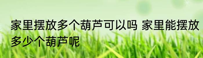 家里摆放多个葫芦可以吗 家里能摆放多少个葫芦呢