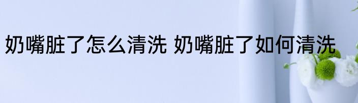 奶嘴脏了怎么清洗 奶嘴脏了如何清洗