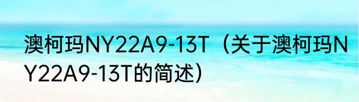 澳柯玛NY22A9-13T（关于澳柯玛NY22A9-13T的简述）