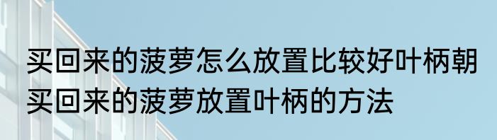 买回来的菠萝怎么放置比较好叶柄朝 买回来的菠萝放置叶柄的方法