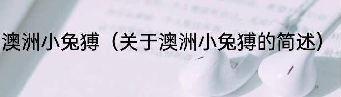 澳洲小兔猼（关于澳洲小兔猼的简述）