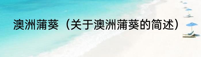 澳洲蒲葵（关于澳洲蒲葵的简述）