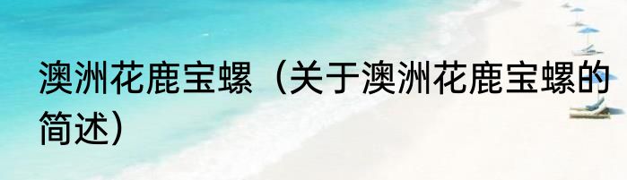 澳洲花鹿宝螺（关于澳洲花鹿宝螺的简述）