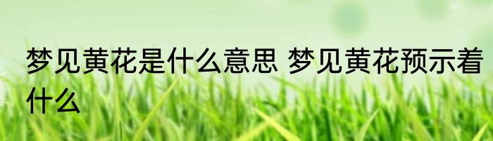 梦见黄花是什么意思 梦见黄花预示着什么
