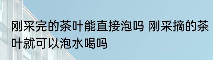 刚采完的茶叶能直接泡吗 刚采摘的茶叶就可以泡水喝吗