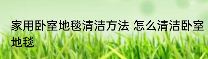家用卧室地毯清洁方法 怎么清洁卧室地毯