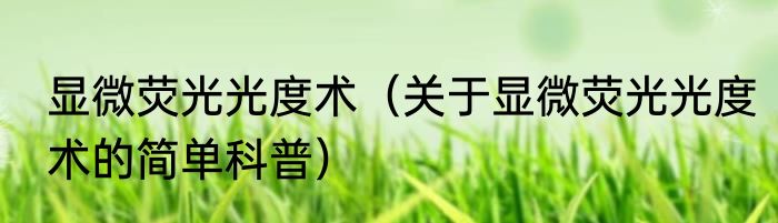 显微荧光光度术（关于显微荧光光度术的简单科普）
