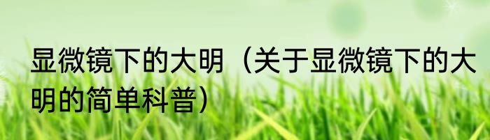 显微镜下的大明（关于显微镜下的大明的简单科普）