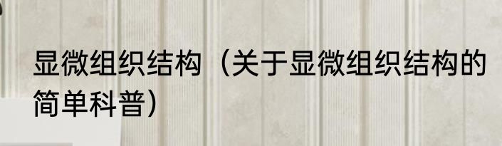 显微组织结构（关于显微组织结构的简单科普）