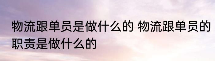 物流跟单员是做什么的 物流跟单员的职责是做什么的