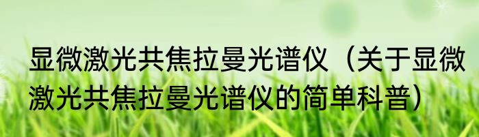 显微激光共焦拉曼光谱仪（关于显微激光共焦拉曼光谱仪的简单科普）