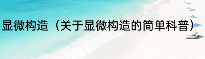 显微构造（关于显微构造的简单科普）
