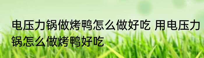 电压力锅做烤鸭怎么做好吃 用电压力锅怎么做烤鸭好吃
