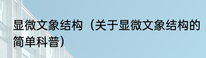显微文象结构（关于显微文象结构的简单科普）