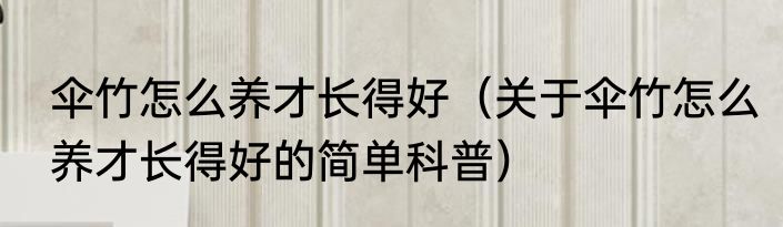 伞竹怎么养才长得好（关于伞竹怎么养才长得好的简单科普）