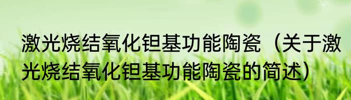 激光烧结氧化钽基功能陶瓷（关于激光烧结氧化钽基功能陶瓷的简述）