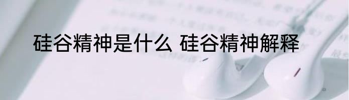 硅谷精神是什么 硅谷精神解释