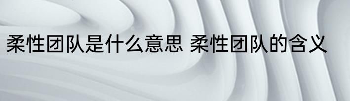 柔性团队是什么意思 柔性团队的含义