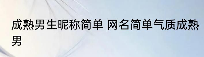 成熟男生昵称简单 网名简单气质成熟男