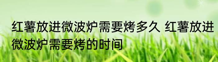 红薯放进微波炉需要烤多久 红薯放进微波炉需要烤的时间