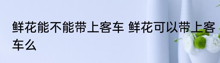 鲜花能不能带上客车 鲜花可以带上客车么