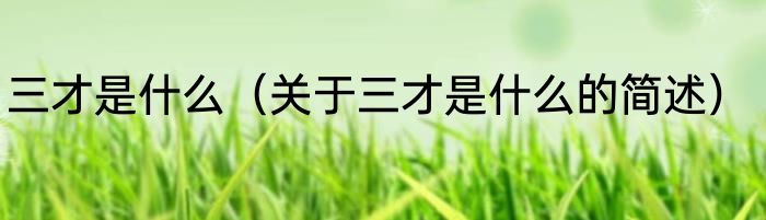 三才是什么（关于三才是什么的简述）